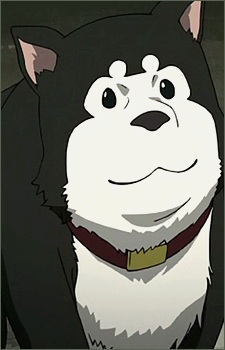 Character Black Hayate